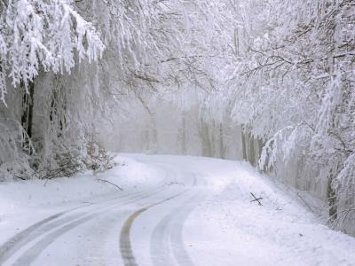 verschneite Straße in einer Winterlandschaft