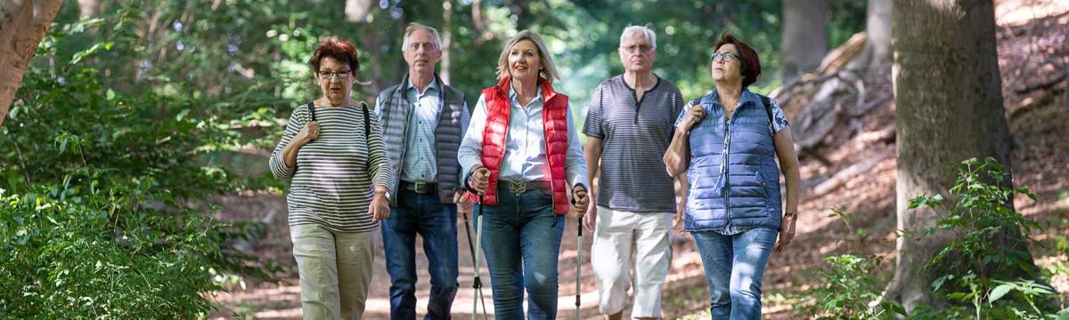 Wandergruppe im Wald Foto von einer wandernden Gruppe Menschen im Wald