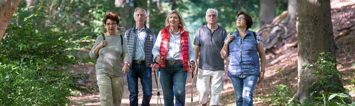 Foto von einer wandernden Gruppe Menschen im Wald