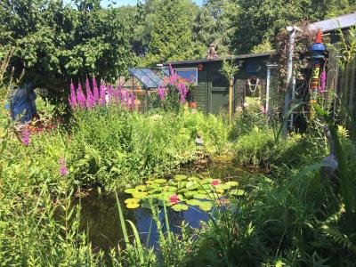 Foto vom Garten mit Teich im Alten Pflederdorf 