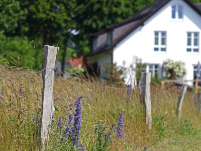 Foto von einem idyllischen Haus mit Garten