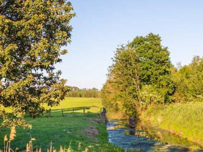 Foto von grüner Wiese mit Bach und Bäumen in Qualburg