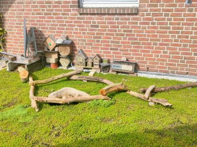 Garage mit Dachbegrünung